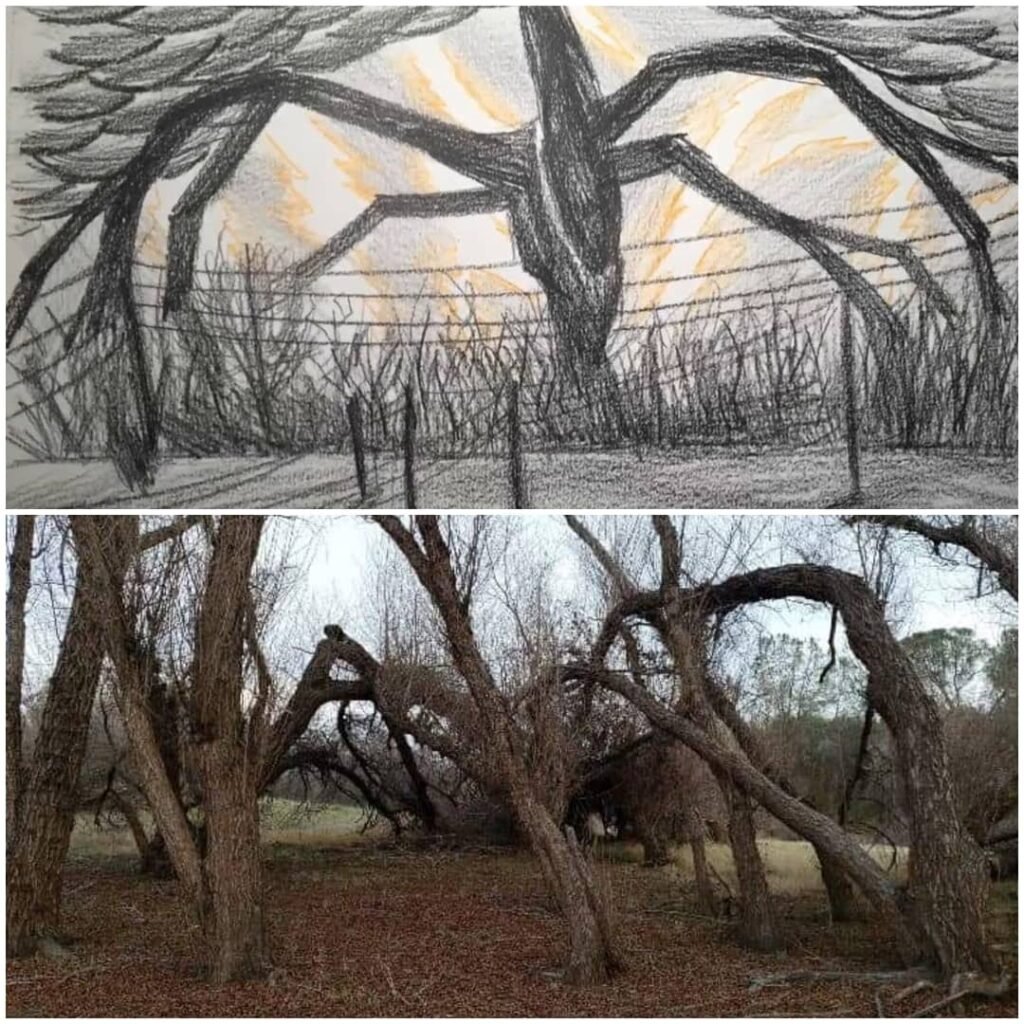 Stranger Things Season 6